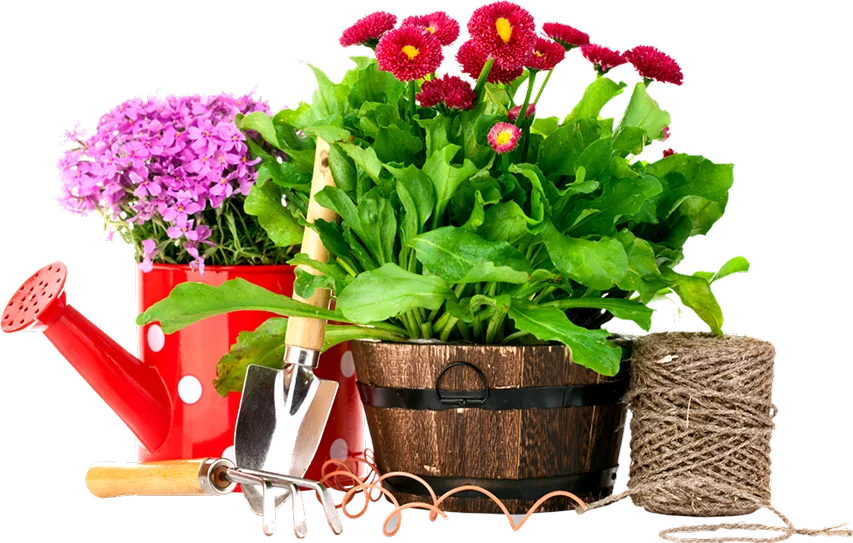Clean Jardin Creation Paysagere Cogolin Decouvrez Nos Chantiers