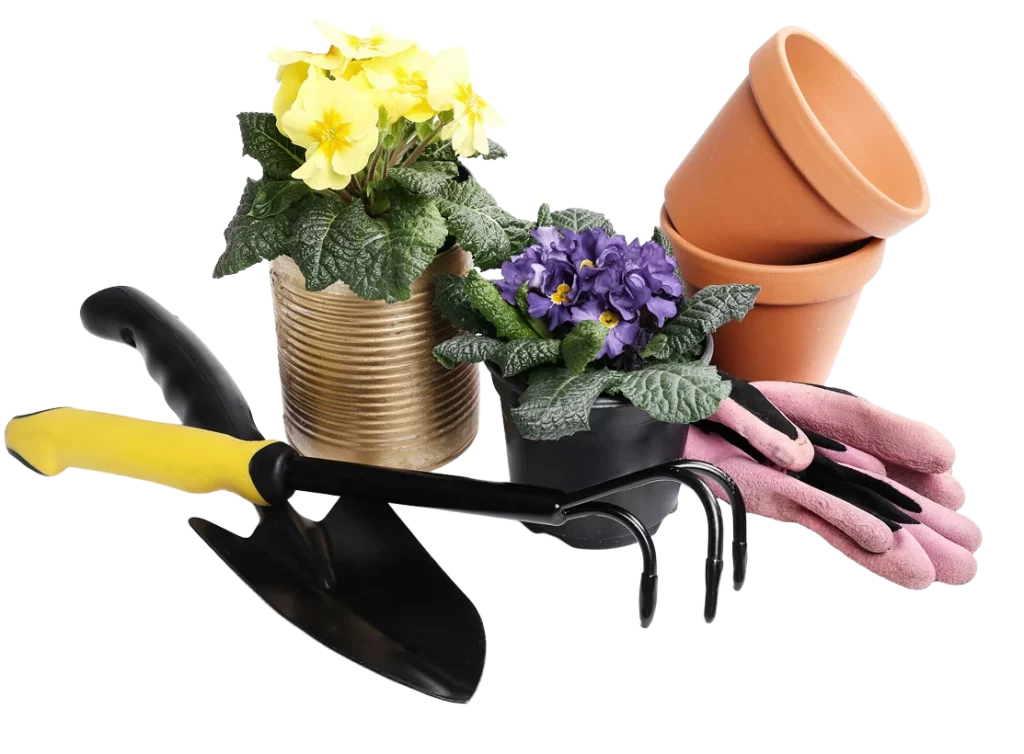 Clean Jardin Creation Paysagere Cogolin Etapes Du Projet
