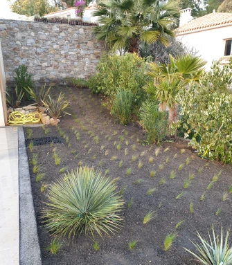 Clean Jardins Creation Paysagere Cogolin Bloc1