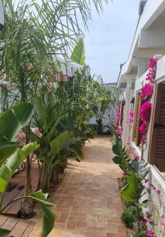 Clean Jardins Creation Paysagere Cogolin Clean Jardin